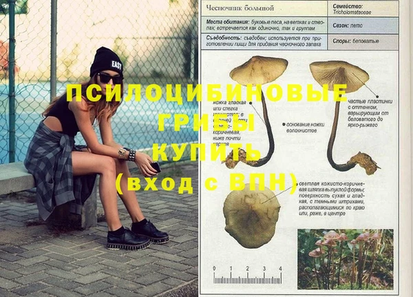 меф Абаза